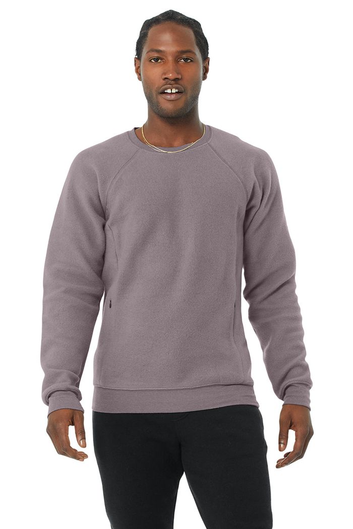 Long Sleeve Alo Yoga Triumph Crew Neck Sweatshirt Hombre Morados | 315860WDG