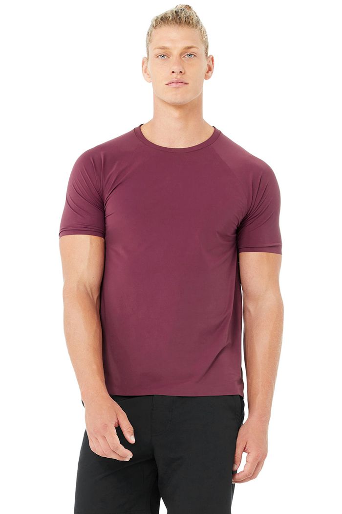 Short Sleeve Alo Yoga Idol Performance Tee Hombre Rojos | 306942LXK