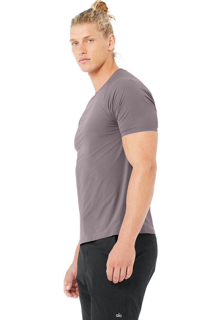 Short Sleeve Alo Yoga Idol Performance Tee Hombre Morados | 325947FVE