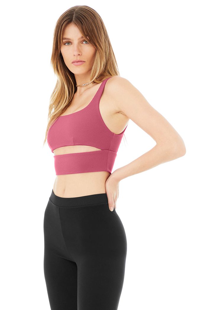 Sujetadores Alo Yoga Slit Mujer Morados | 659471GJN