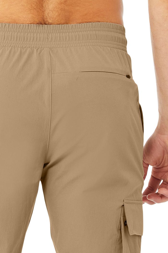 Pantalones Alo Yoga Cargo Division Field Hombre Marrom | 160847NEJ