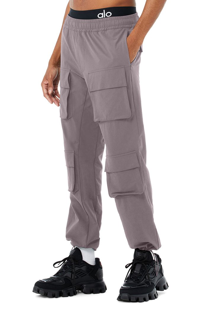 Pantalones Alo Yoga Cargo Venture Hombre Morados | 798351SIP