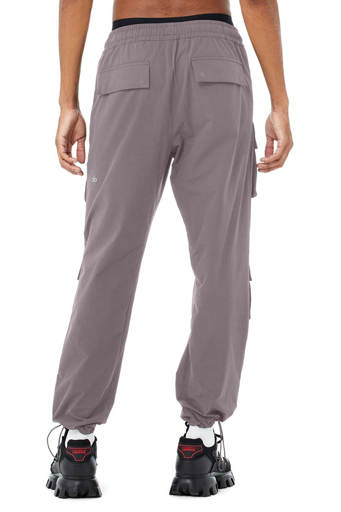 Pantalones Alo Yoga Cargo Venture Hombre Morados | 798351SIP