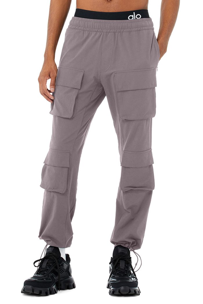 Pantalones Alo Yoga Cargo Venture Hombre Morados | 798351SIP