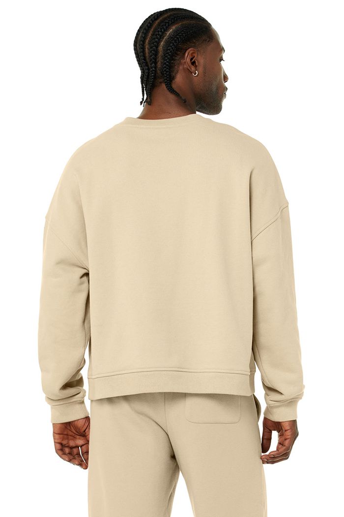 Pullover Alo Yoga Renown Crew Neck Hombre Marrom | 674302UEF