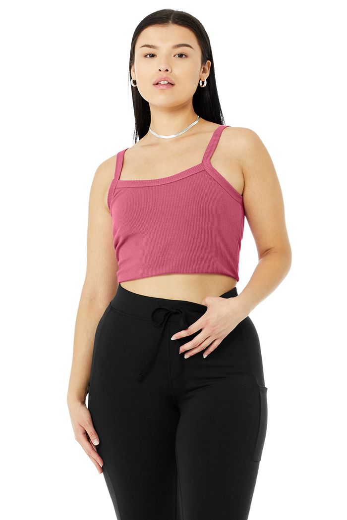 Sujetadores Alo Yoga Ribbed Crop Whisper Mujer Morados | 873592MHQ