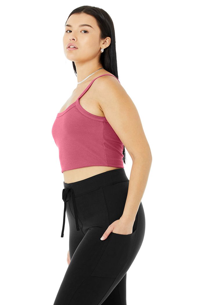 Sujetadores Alo Yoga Ribbed Crop Whisper Mujer Morados | 873592MHQ