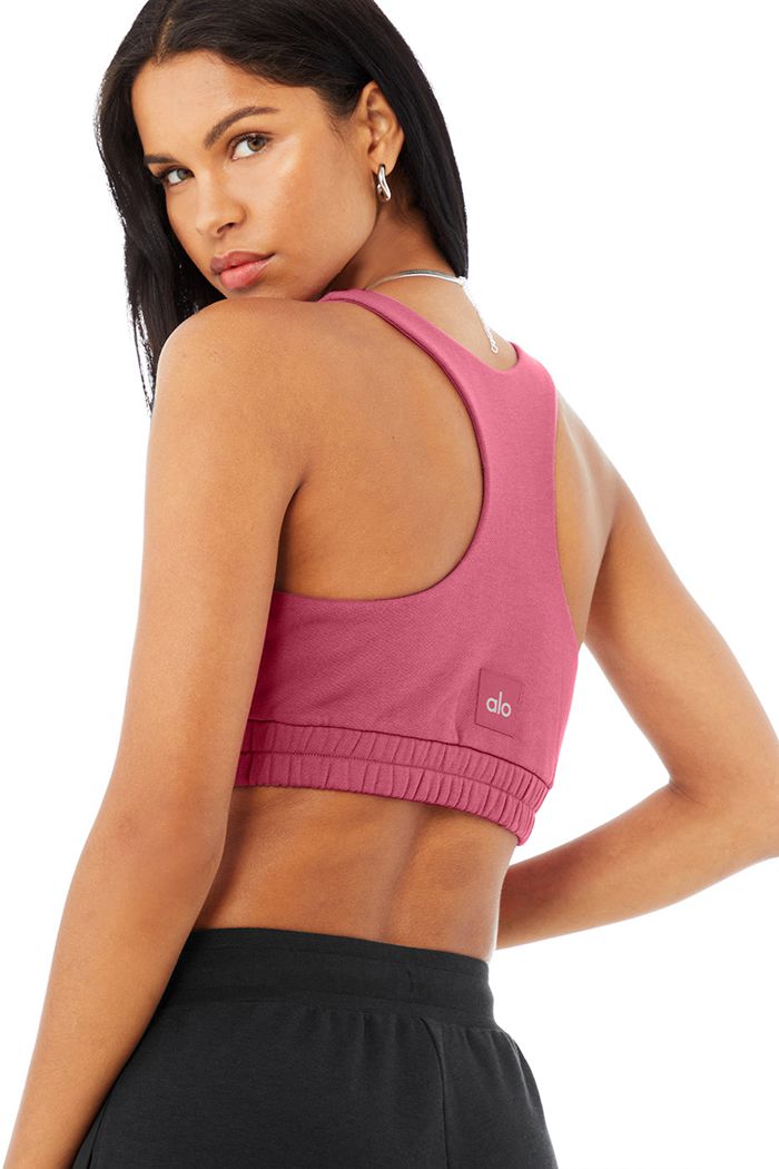 Sujetadores Alo Yoga Scoop Neck Sweatshirt Mujer Morados | 813526OTS